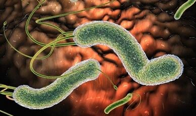 Tipos de parasitos no sangue humano