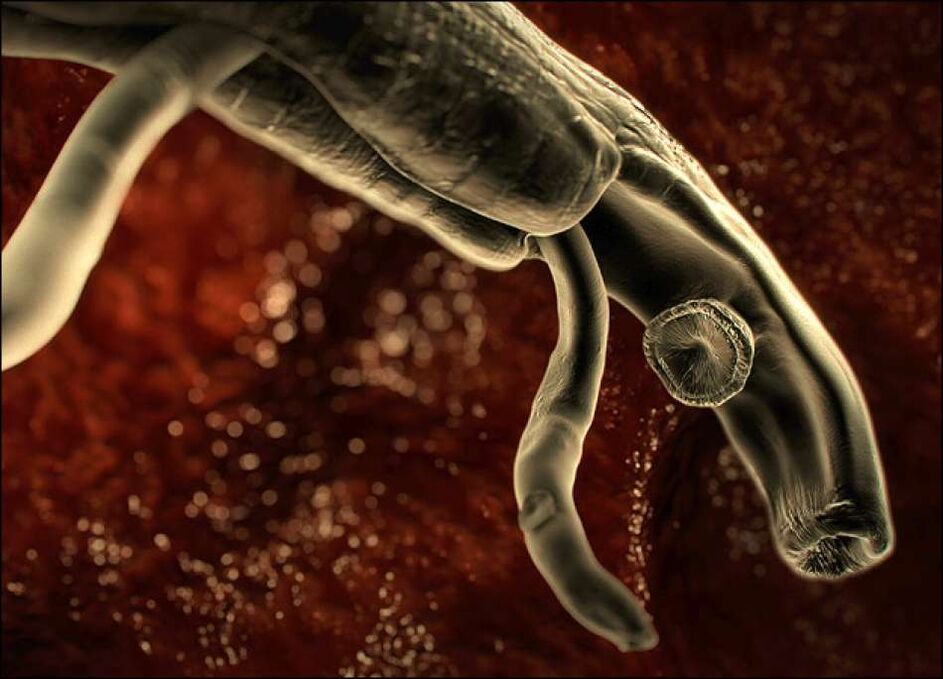 Parasitos no corpo humano