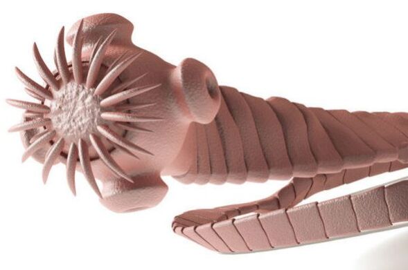 Parasito do corpo humano